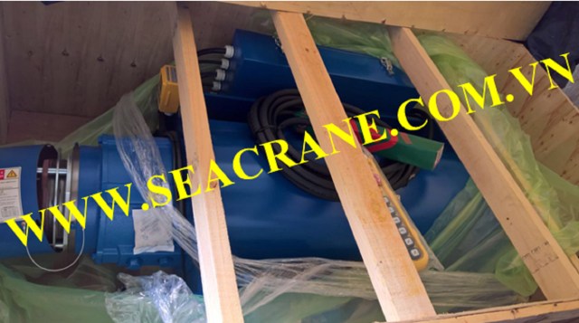 Electric cable hoist winch